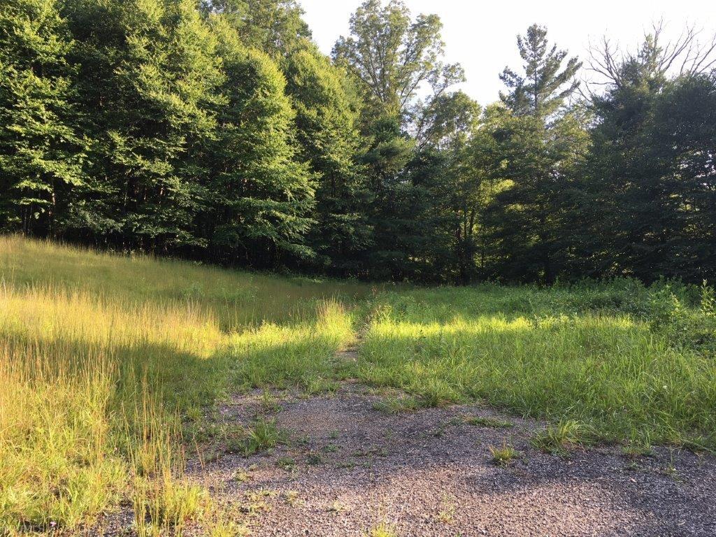 0 River Ridge Road Southeast Floyd, VA 24091 - Photo 2 of 5 Gallery Image 2