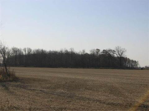 8373 Sutton Road Britton, MI 49229 - Photo 2 of 2 92726-1.JPG