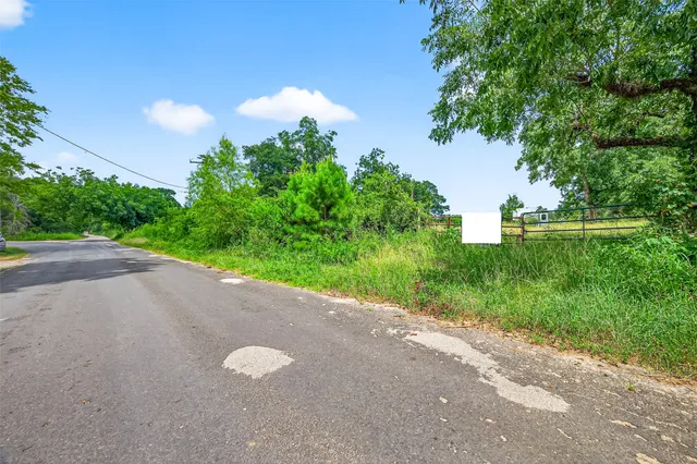 a view of a yard with a lush green forest