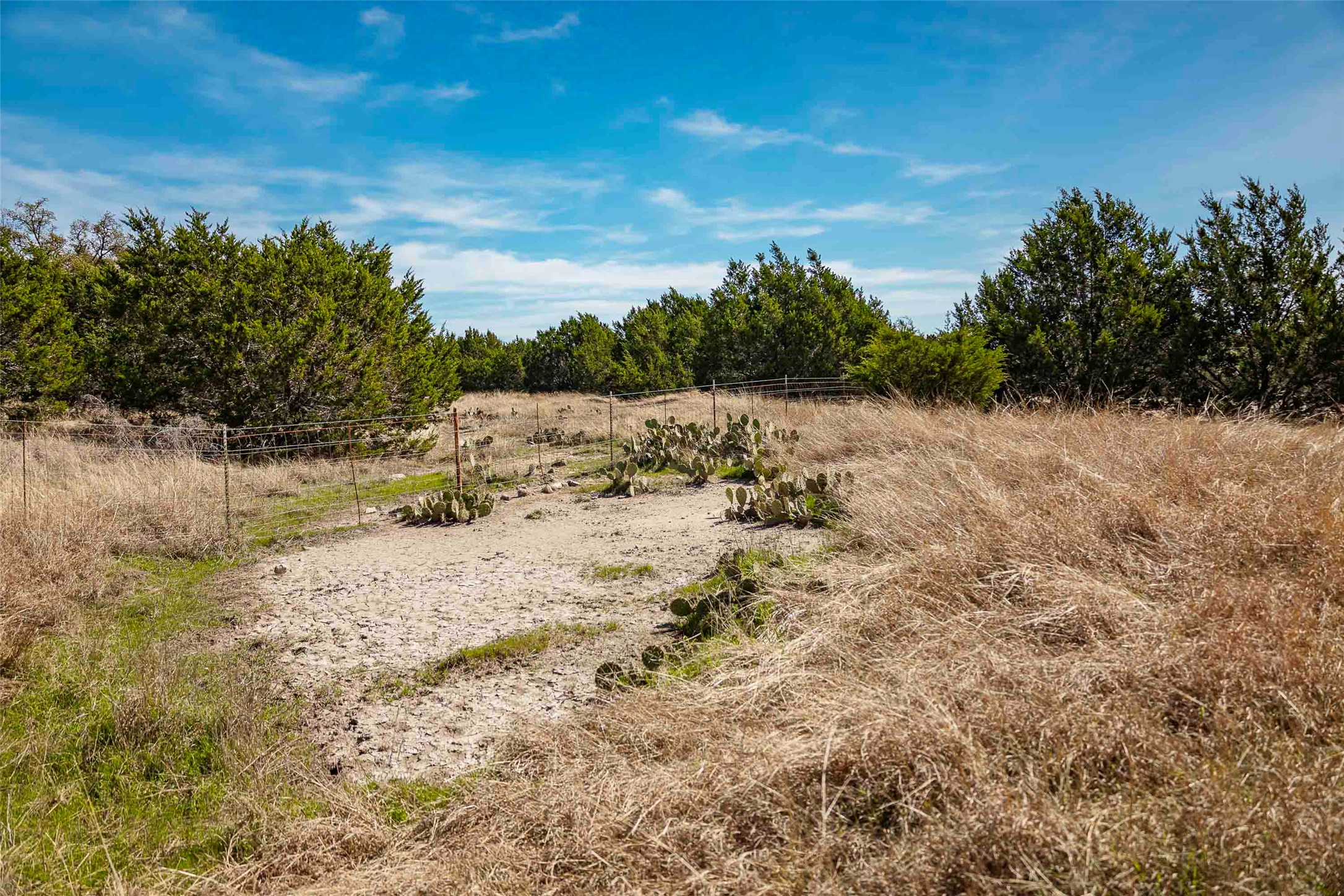 Tbd Saddle Ridge Drive Bertram, TX 78605 - Photo 34 of 40 View of local wilderness featuring rural landscape