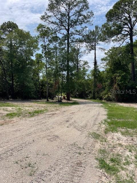 567 Harney Heights Road Geneva, FL 32732 - Photo 25 of 30 Gallery Image 25