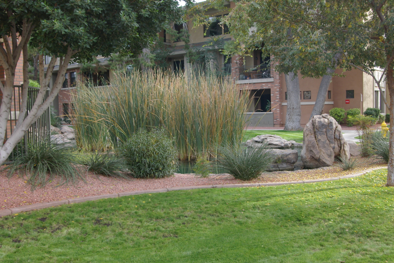 4488 East Thomas Road, Unit 2015 Phoenix, AZ 85018 - Photo 5 of 22 Grounds