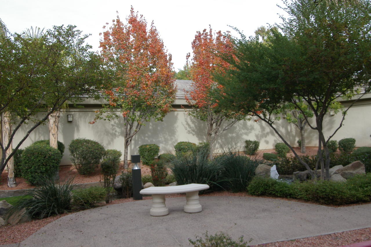 4488 East Thomas Road, Unit 2015 Phoenix, AZ 85018 - Photo 7 of 22 Grounds in front of building