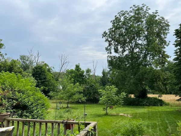 a view of a garden with a bench in a garden