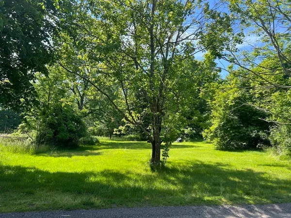 a view of green field with trees in the background