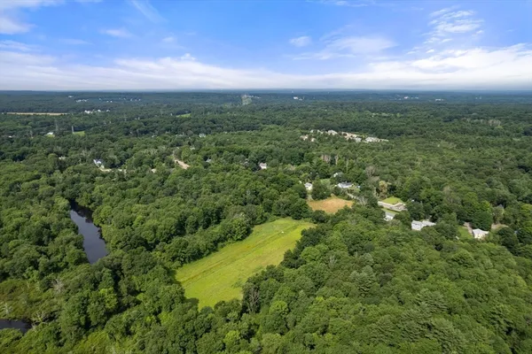 a view of a city with lush green forest