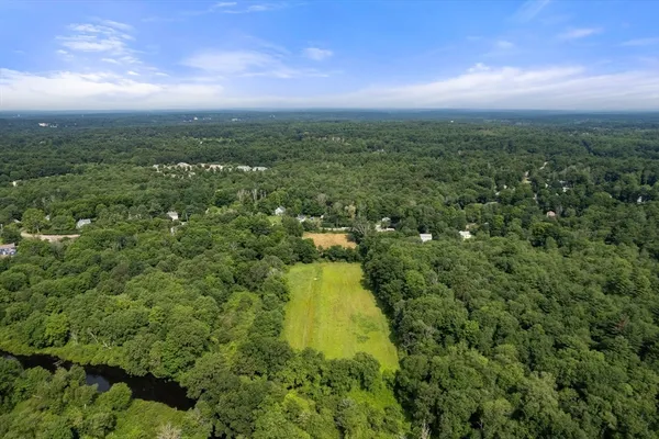 a view of a green yard with large trees