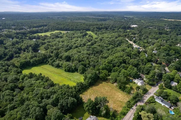 a view of a lush green forest with trees in the background