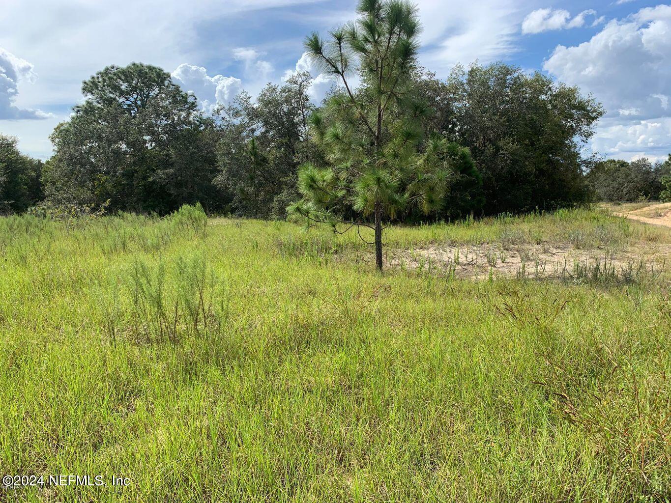 5941 West Dunnellon Road Dunnellon, FL 34433 - Photo 6 of 7 20200917191552517123000000-o