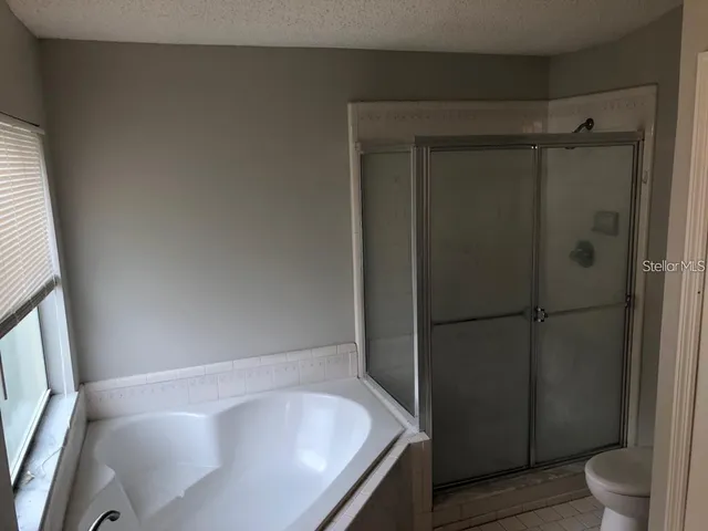 a bathroom with a bathtub and a toilet