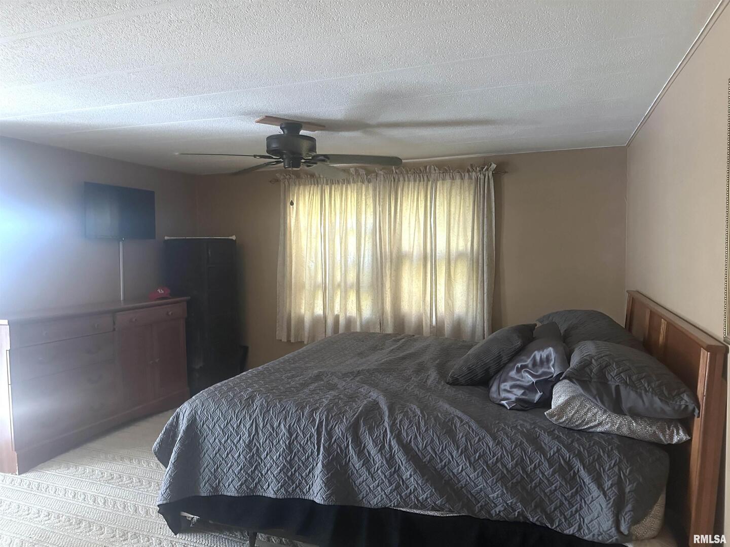 138 Worthen Road Murphysboro, IL 62966 - Photo 9 of 25