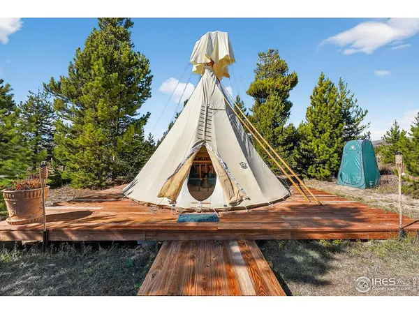 a view of a yard with a tree