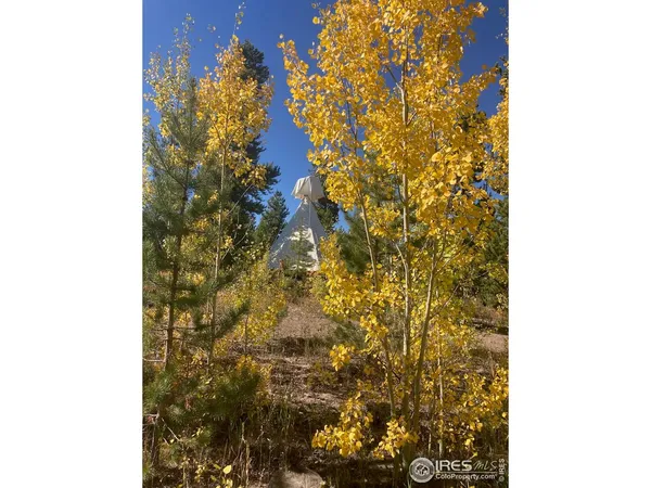a view of a yard with plants
