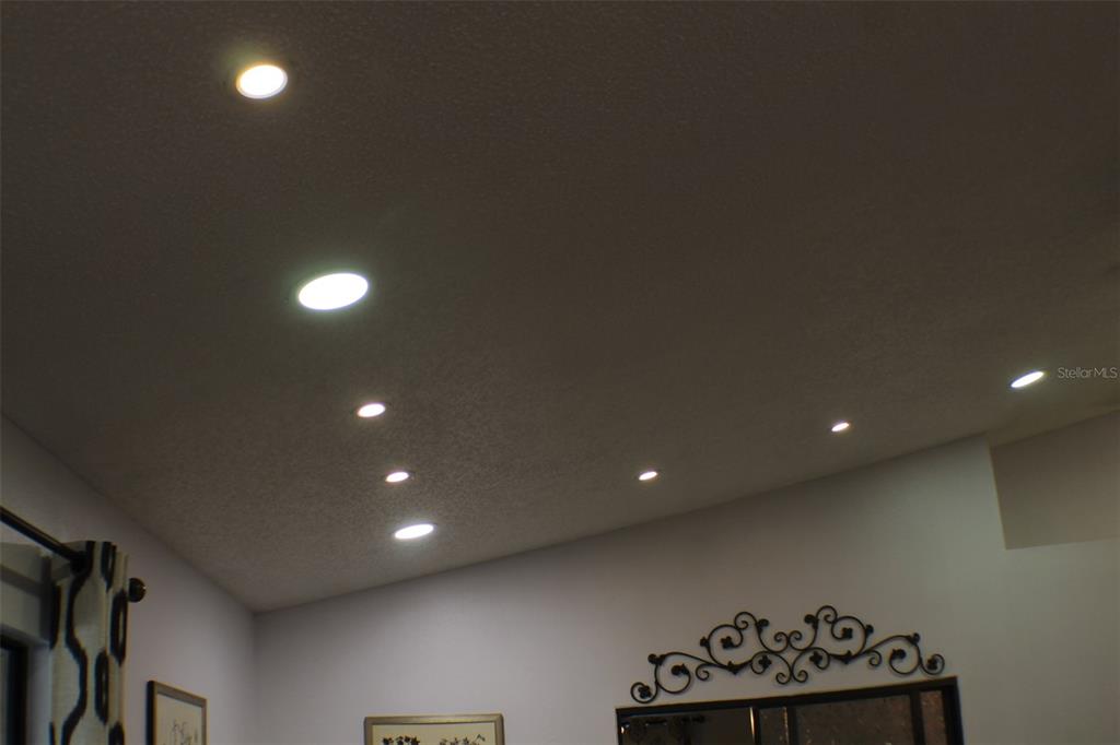 1723 Bell Ranch Street Brandon, FL 33511 - Photo 21 of 37
