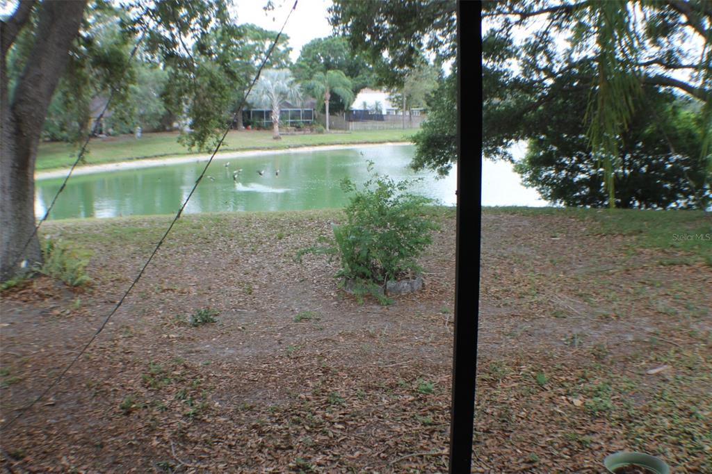 1723 Bell Ranch Street Brandon, FL 33511 - Photo 33 of 37