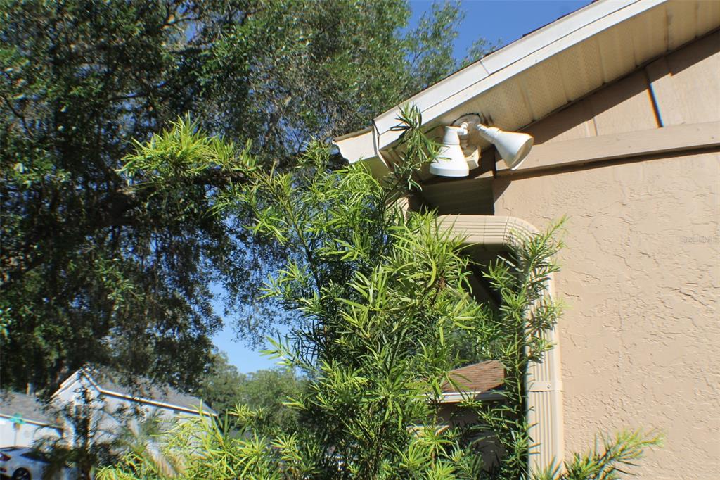 1723 Bell Ranch Street Brandon, FL 33511 - Photo 36 of 37