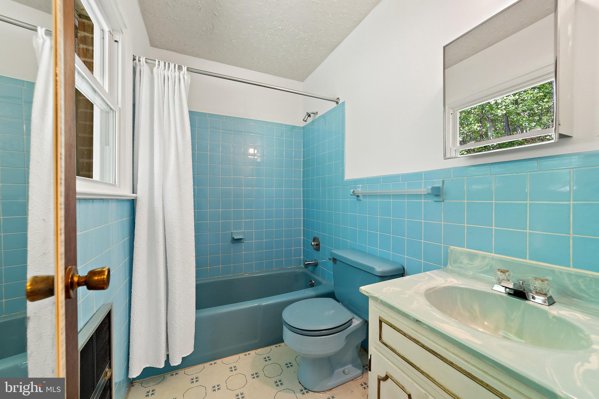 5847 Wilson Road Marshall, VA 20115 - Photo 21 of 55 Master bathroom with tub/shower