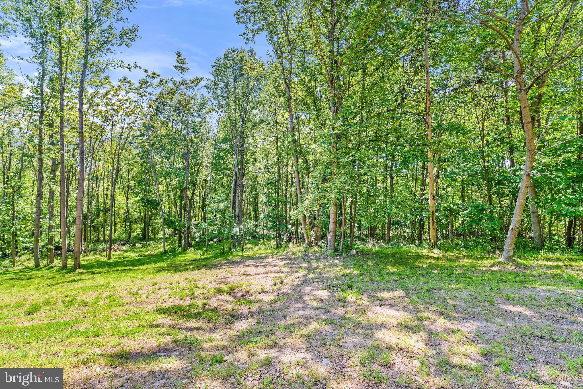 5847 Wilson Road Marshall, VA 20115 - Photo 51 of 55 Gravel driveway leads to the shed