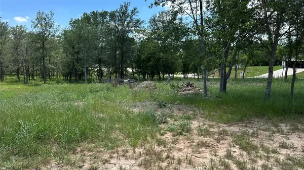 a view of backyard with green space