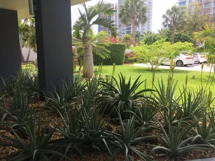 $495,000 | 2840 North Ocean Boulevard, Unit 507, Fort Lauderdale, FL 33308