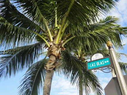 $495,000 | 2840 North Ocean Boulevard, Unit 507, Fort Lauderdale, FL 33308