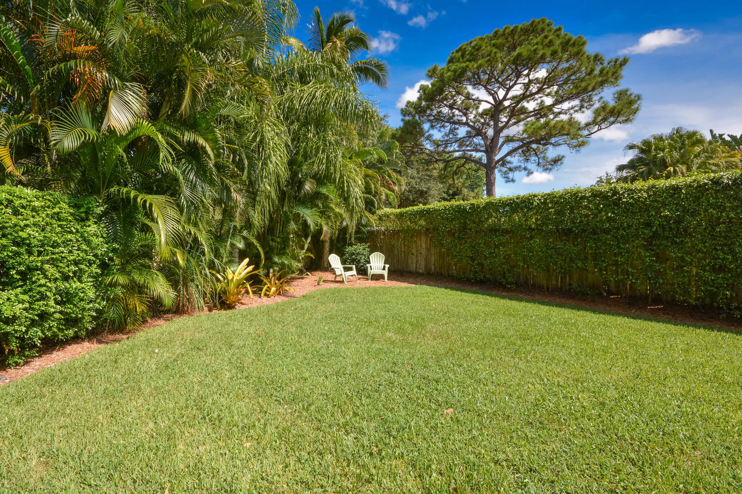 4100 Northwest 25th Way Boca Raton, FL 33434 - Photo 2 of 2 Backyard