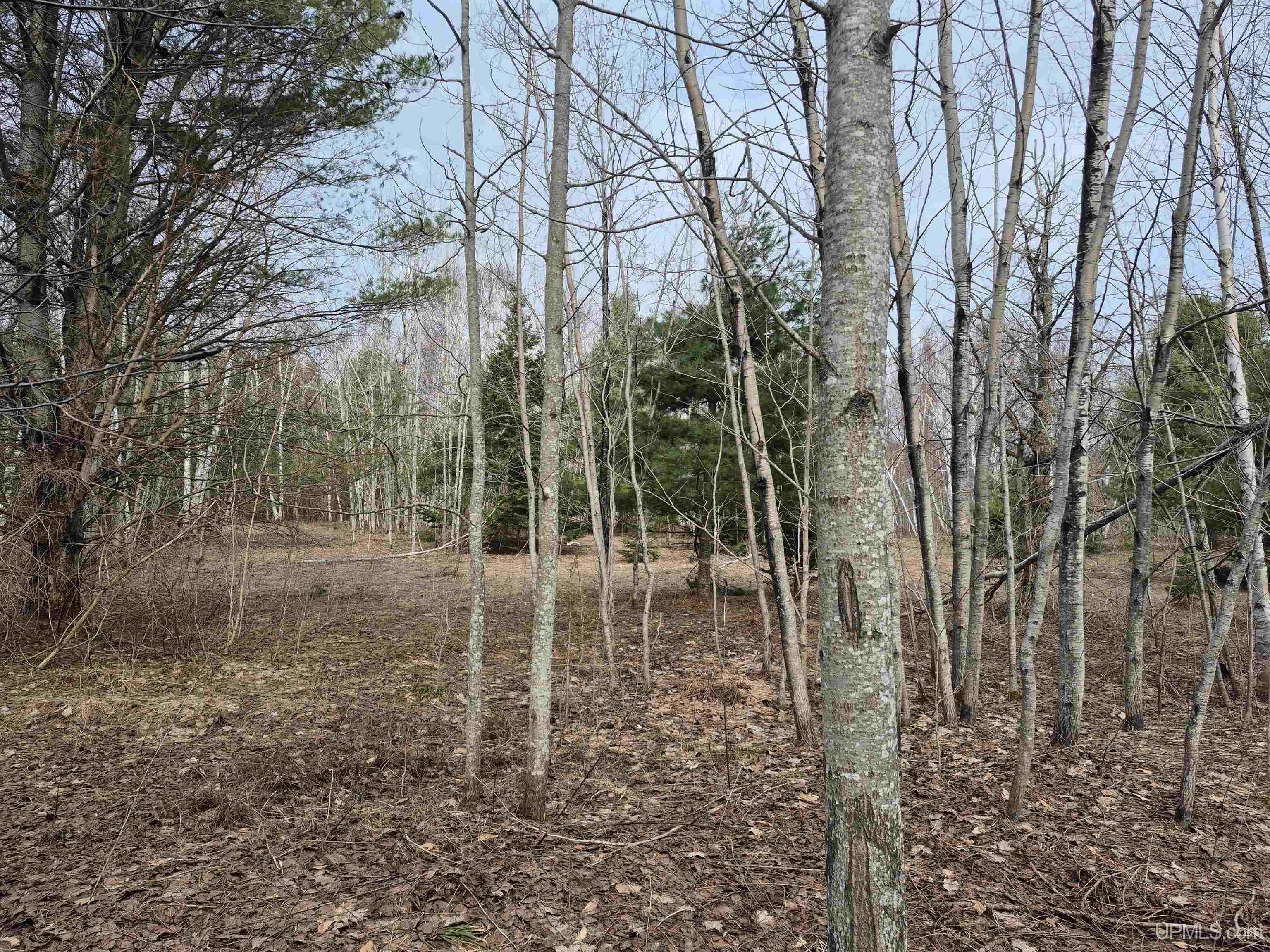 3754 Quarry Road Gulliver, MI 49840 - Photo 33 of 77