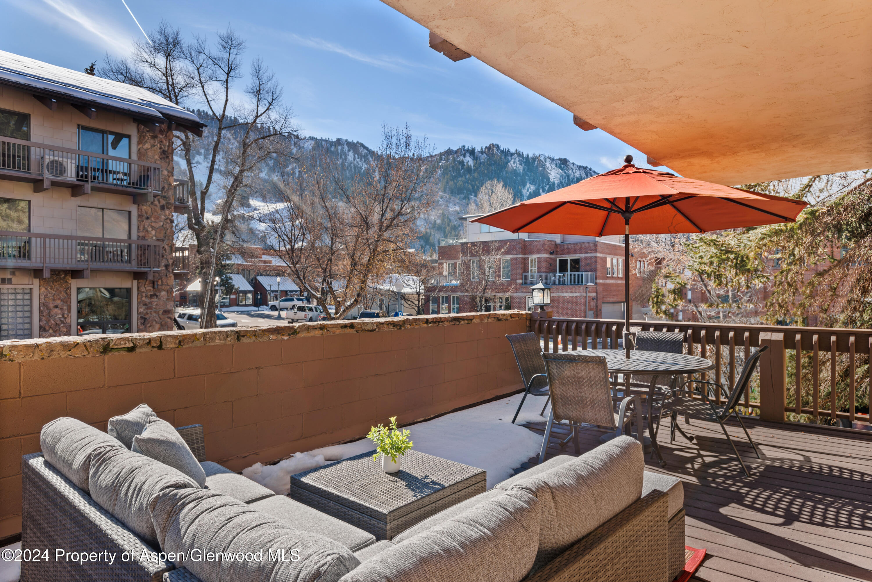 605 East Main Street, Unit 7 Aspen, CO 81611 - Photo 12 of 13