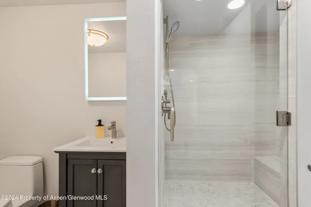 a bathroom with a sink a toilet and shower