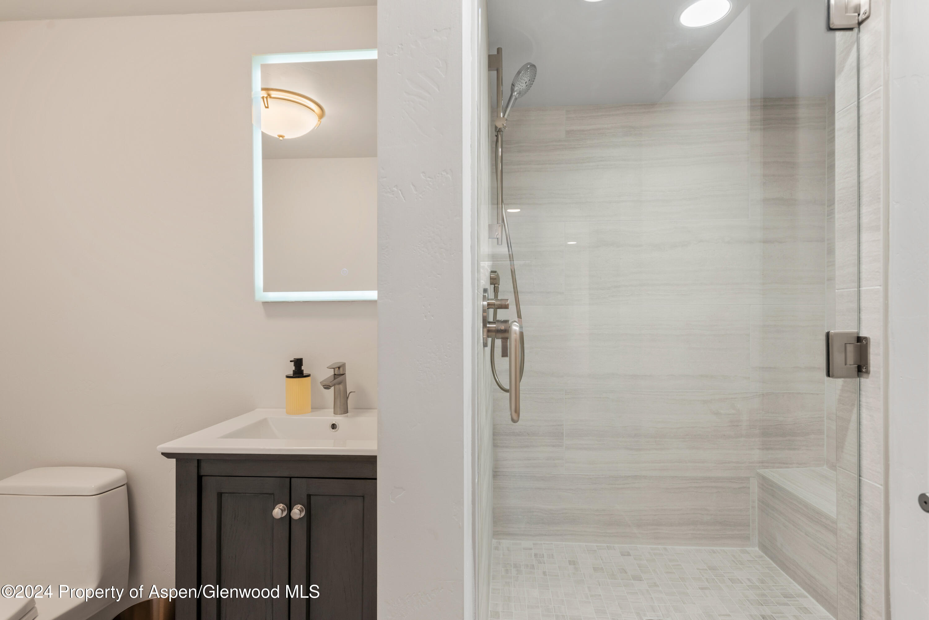 605 East Main Street, Unit 7 Aspen, CO 81611 - Photo 9 of 13 a bathroom with a sink a toilet and shower