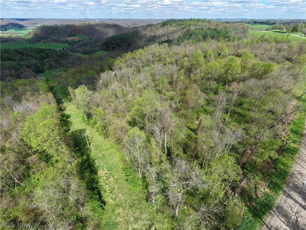 Deersville Ridge Road Cadiz, OH 43907 - Photo 21 of 41