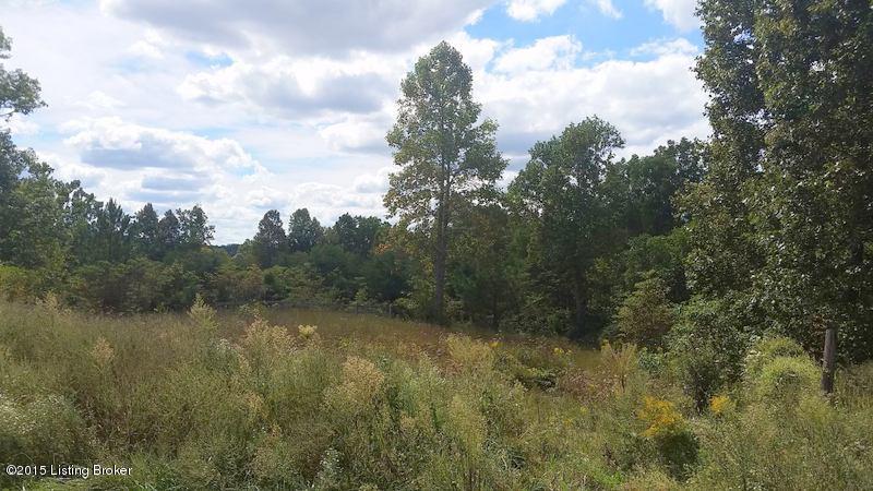 4504 Watershed Road Caneyville, KY 42721 - Photo 6 of 7 12244469_10153073125112100_3907150630958