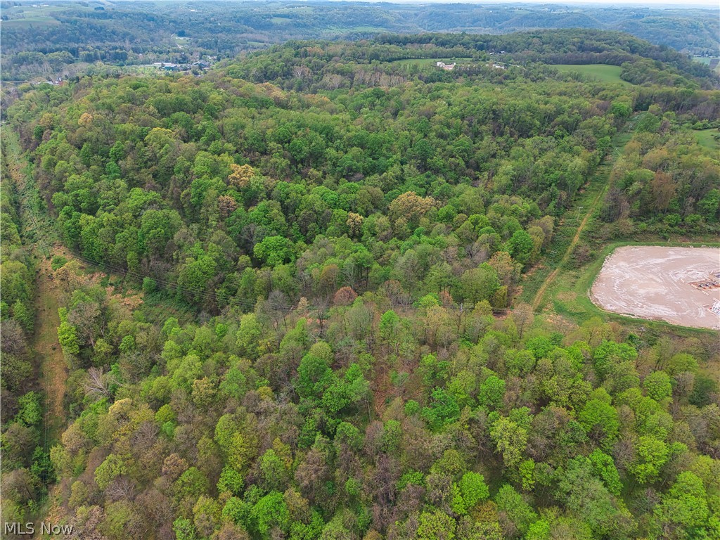 0 Bealls Ridge Wellsburg, WV 26070 - Photo 18 of 46