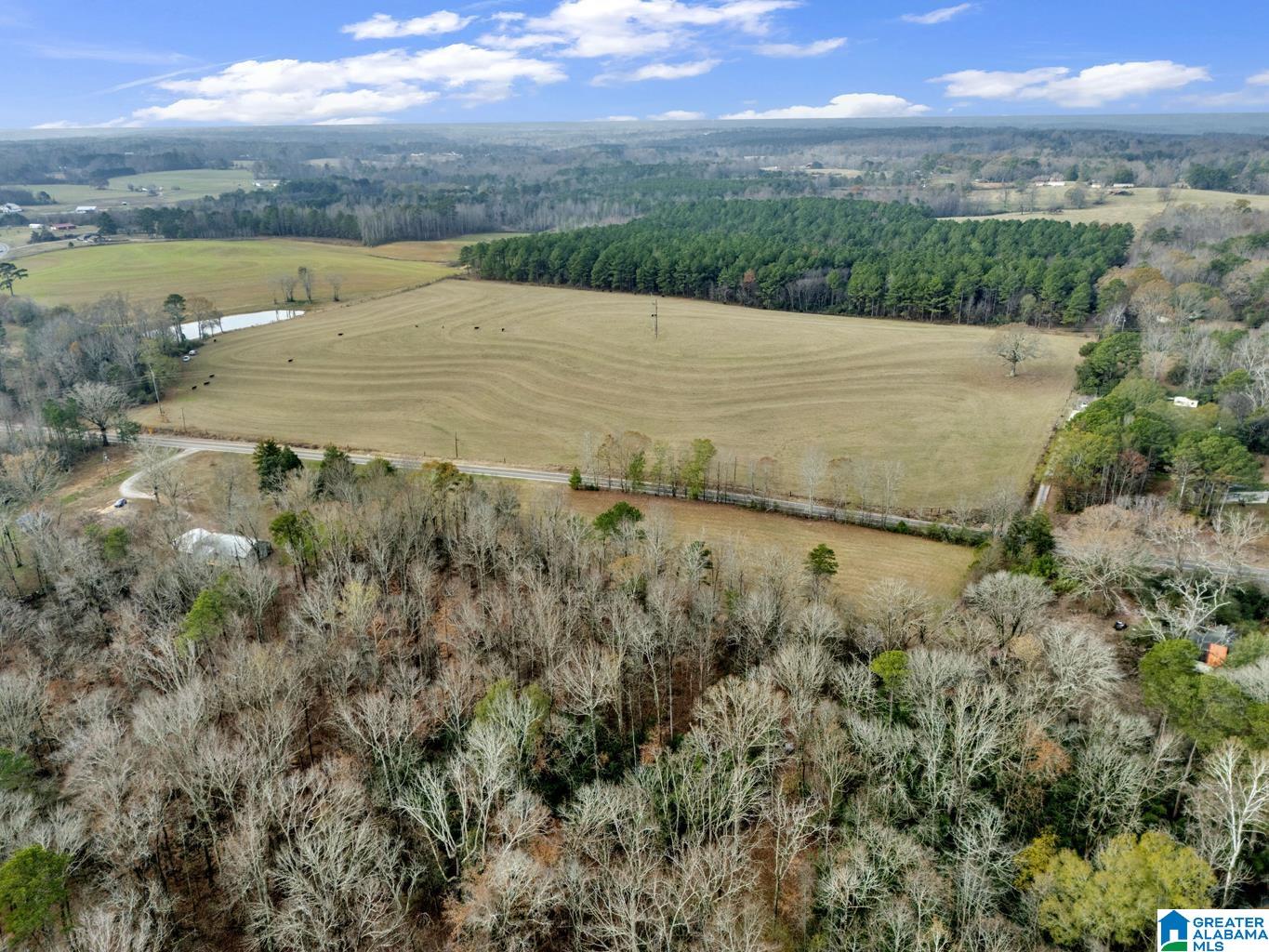 9157 Bagley Road Dora, AL 35062 - Photo 43 of 51 Gallery Image 43