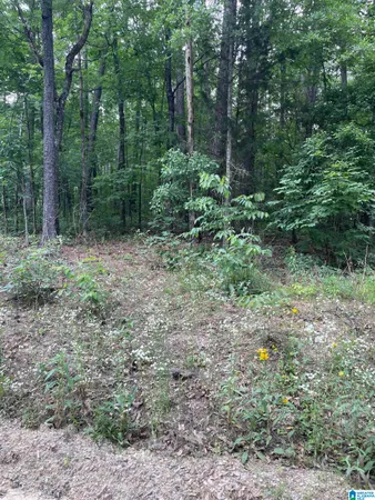 $16,000 | 0 Muriel Drive, Unit 22, Vance, AL 35490