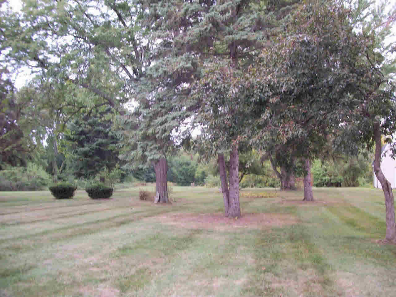 13280 North Road Fenton, MI 48430 - Photo 4 of 17 21368674-3.JPG