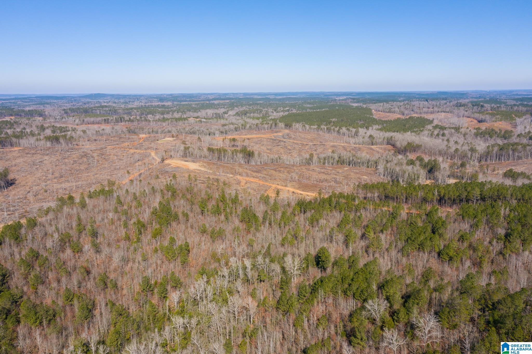 0 Harless Road Northport, AL 35475 - Photo 16 of 34