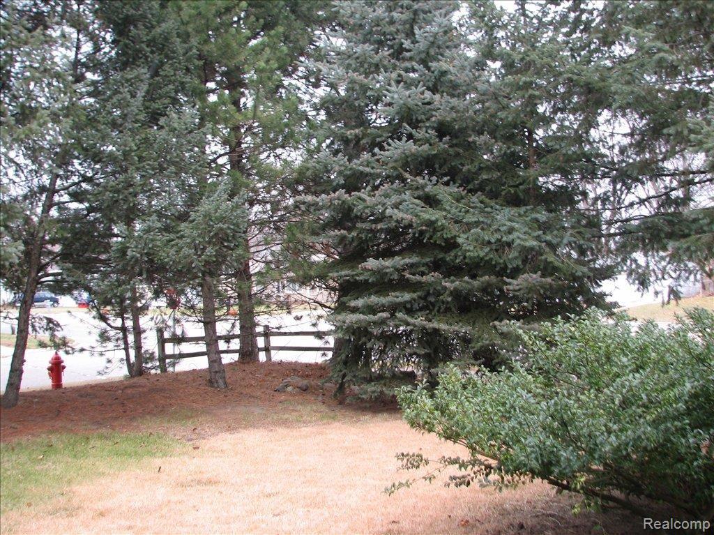 9237 Sheldon Road Plymouth, MI 48170 - Photo 3 of 17 Front Yard from Porch