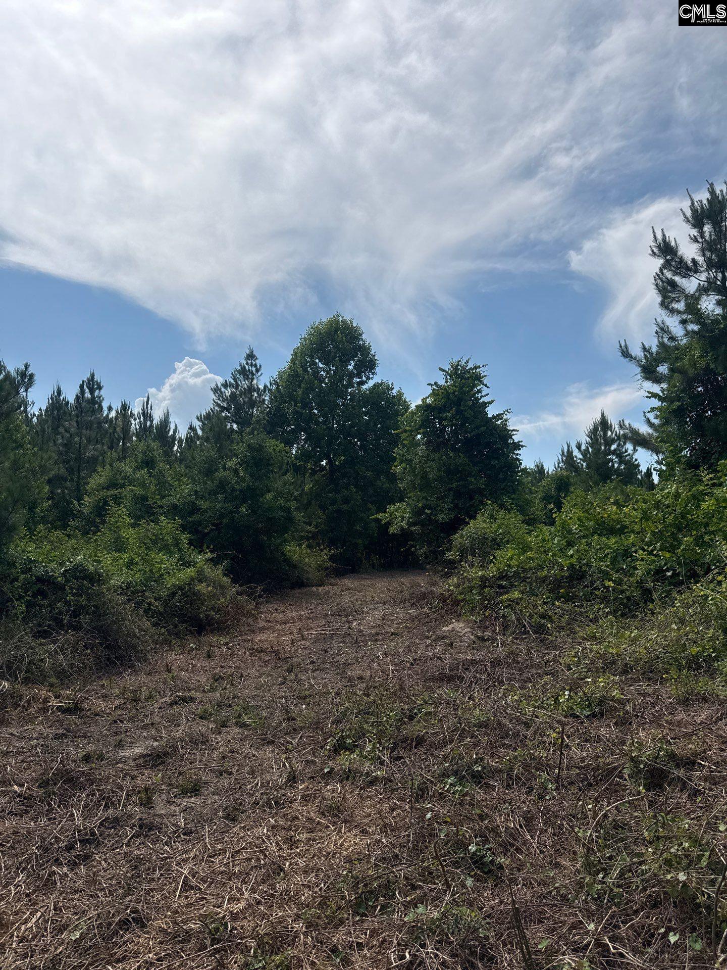 1 State Rd S-28-31 Road Cheraw, SC 29520 - Photo 10 of 12 a view of a field with trees in background