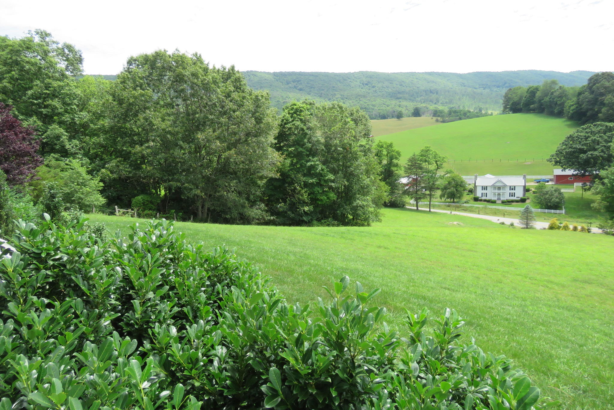 11205 Cumberland Gap Road New Castle, VA 24127 - Photo 55 of 65 IMG_1246