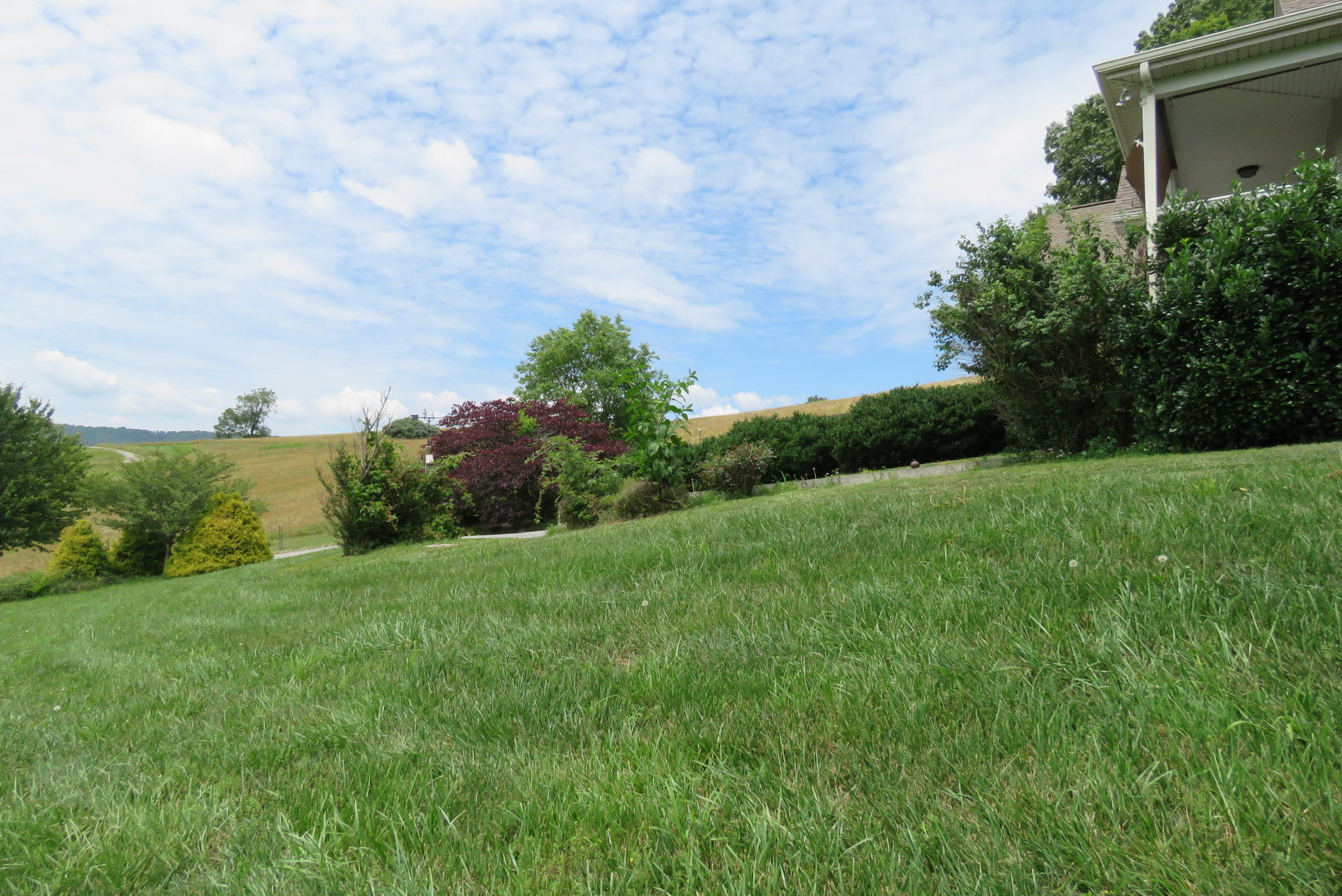 11205 Cumberland Gap Road New Castle, VA 24127 - Photo 58 of 65 IMG_1249