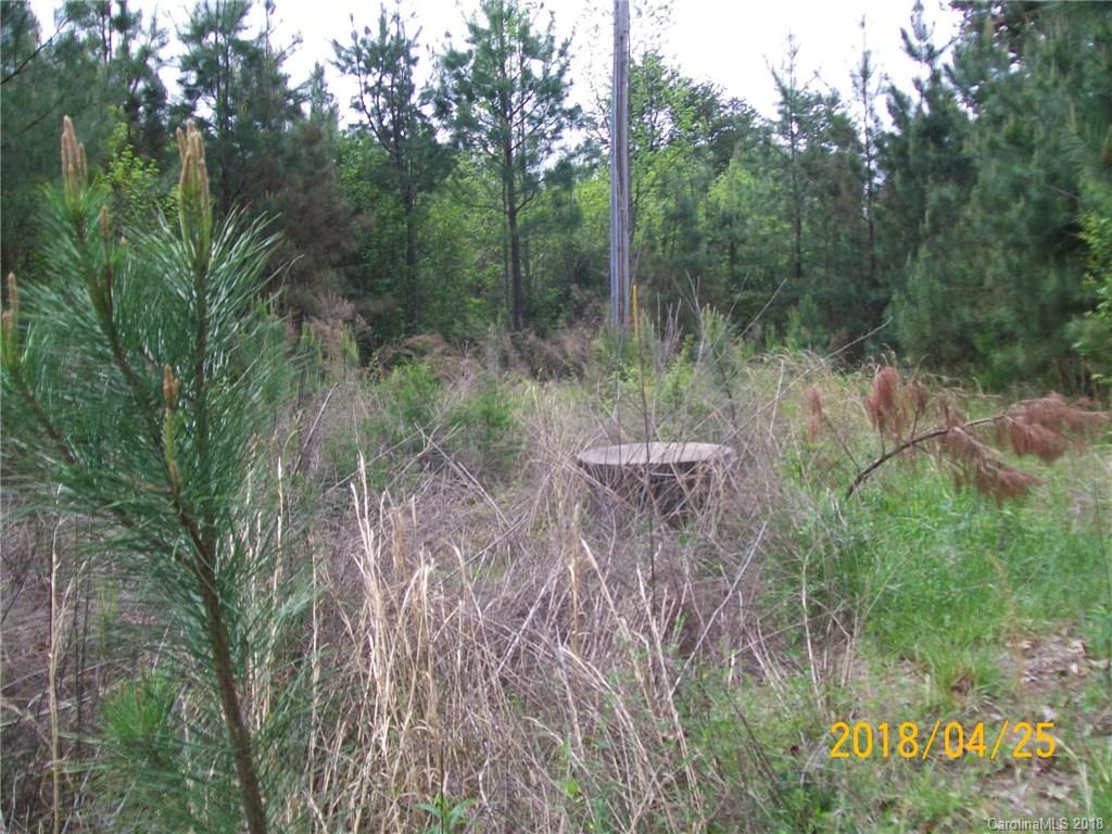 6480 Kidville Road Denver, NC 28037 - Photo 4 of 7 Gallery Image 4