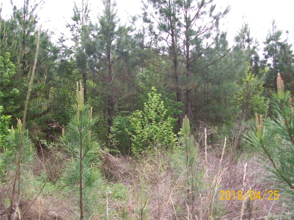 6480 Kidville Road Denver, NC 28037 - Photo 5 of 7 Gallery Image 5