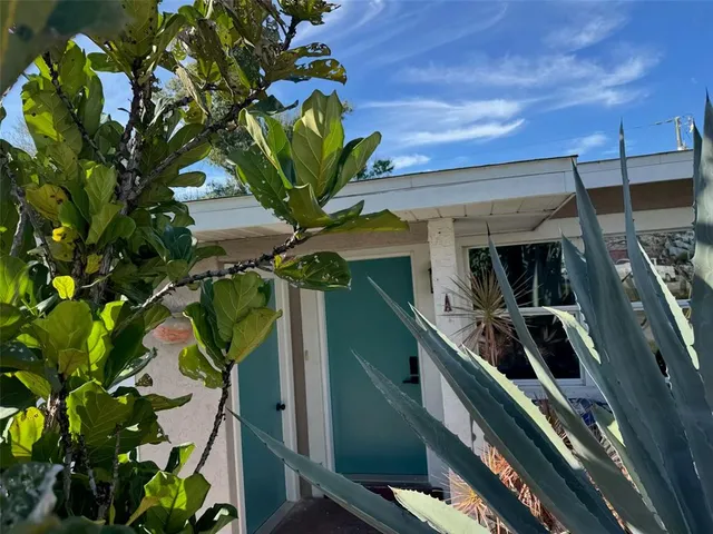 a view of a potted flower in a garden