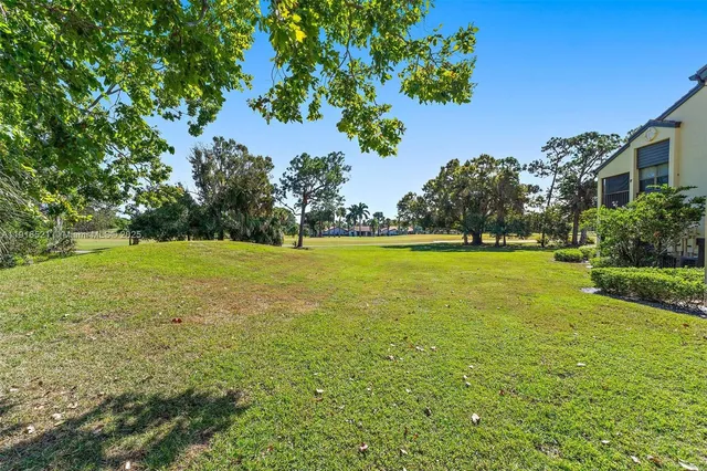 a view of a city with tall trees