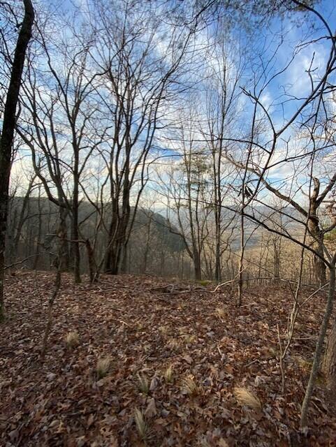 0 Eagle Bluff Road Rising Fawn, GA 30738 - Photo 2 of 10 thumbnail_IMG_1732