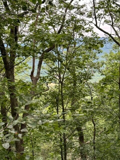 0 Eagle Bluff Road Rising Fawn, GA 30738 - Photo 3 of 10 thumbnail_IMG_5245