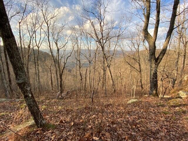 0 Eagle Bluff Road Rising Fawn, GA 30738 - Photo 4 of 10 thumbnail_IMG_1720