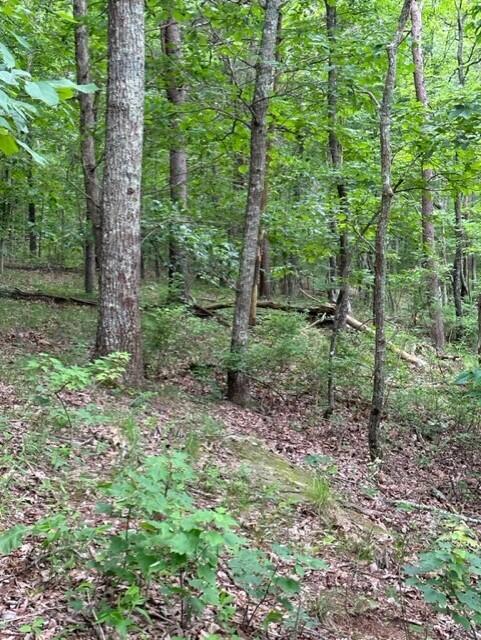 0 Eagle Bluff Road Rising Fawn, GA 30738 - Photo 6 of 10 thumbnail_IMG_5246