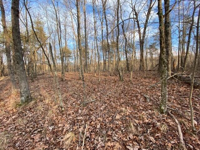 0 Eagle Bluff Road Rising Fawn, GA 30738 - Photo 7 of 10 thumbnail_IMG_1736